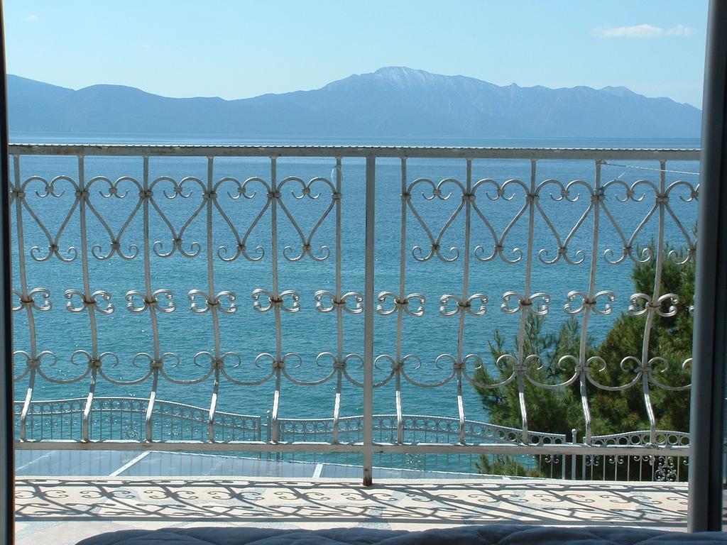 Guesthouse Kod Irene Gradac  Εξωτερικό φωτογραφία