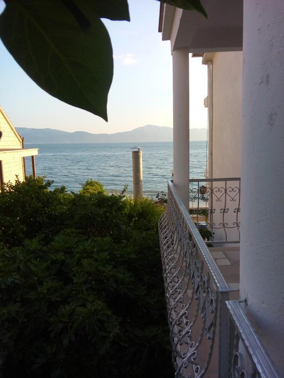 Guesthouse Kod Irene Gradac  Εξωτερικό φωτογραφία