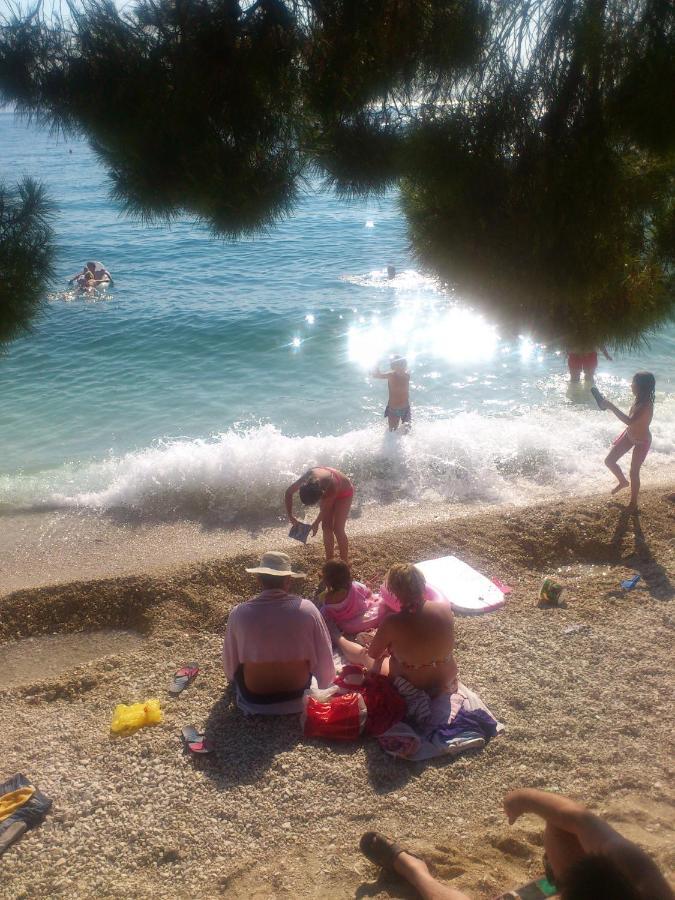 Guesthouse Kod Irene Gradac  Εξωτερικό φωτογραφία